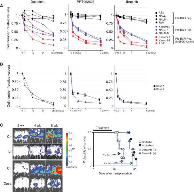 Figure 5. Sensitivity of BCP ALL cells to inhibitors of pre-BCR signaling. A, Ten cell lines (four pre-BCR-negative ALL, three pre-BCR-positive non-MEF2D-ALL, and three MEF2D-ALL lines) were exposed to indicated inhibitors and their sensitivity with respect to growth inhibition was tested. Cells were treated with varying concentrations of the inhibitors as indicated for 3 days. Cell growth is shown relative to that of vehicle-treated control cells (means ± SDs; n = 3). B, Two clinical MEF2D-ALL cell lines were analyzed as in A. C, Immunodeficient mice were transplanted with Kasumi-7 cells engineered to express luciferase, which was monitored by bioluminescence imaging (left). Ibrutinib, dasatinib, and vehicle controls were administered daily from day 1 to day 35 days after transplantation. The survival outcomes were also estimated using the log-rank test (right). Both drugs reduced the leukemia burden and significantly prolonged the survival duration (n = 5 for ibrutinib treatment, otherwise n = 4).