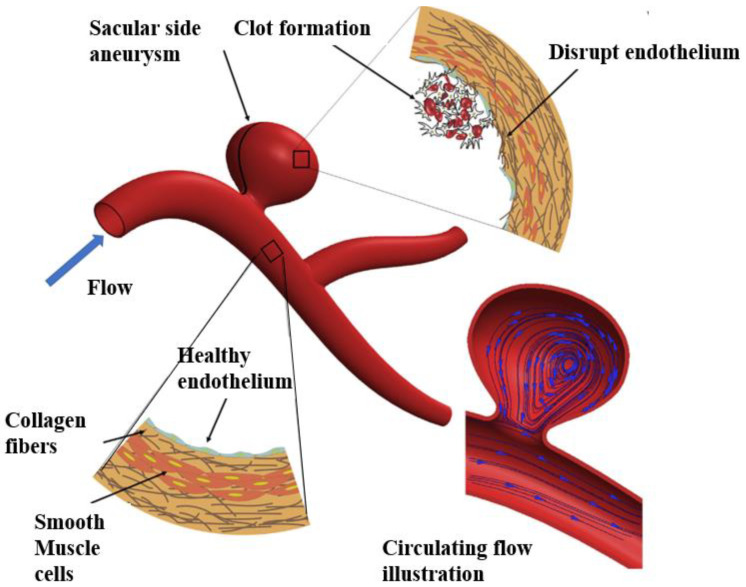 Figure 8