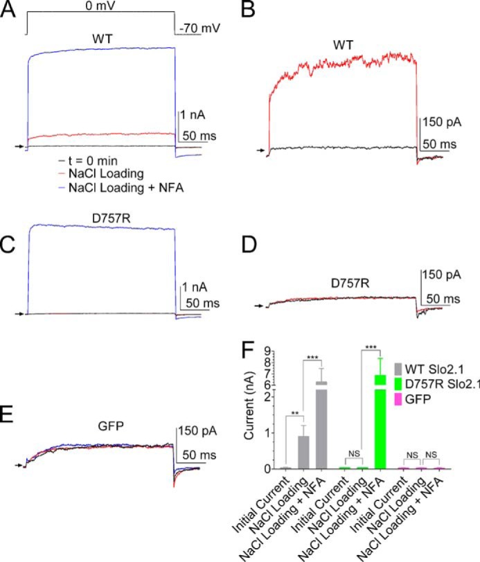 FIGURE 4.