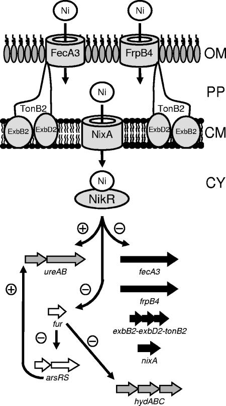 FIG. 6.