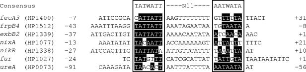 FIG. 5.