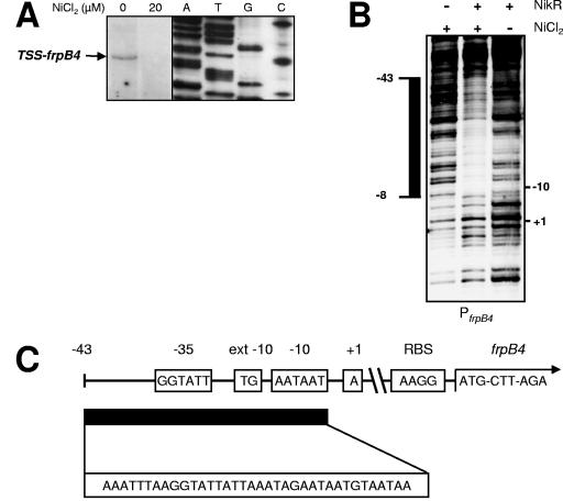 FIG. 2.