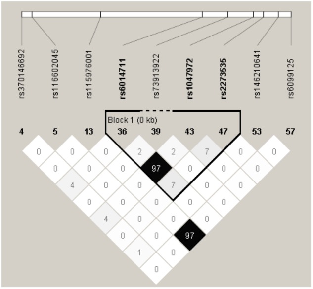 FIGURE 4