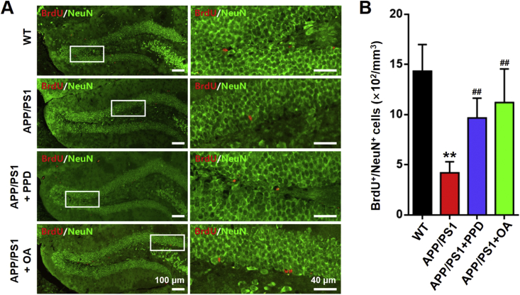 Fig. 4