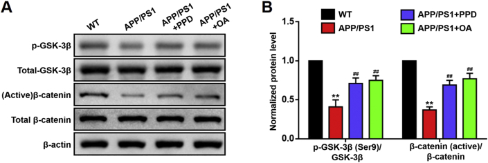 Fig. 6