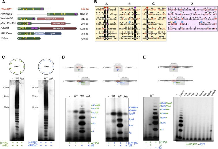 Figure 1