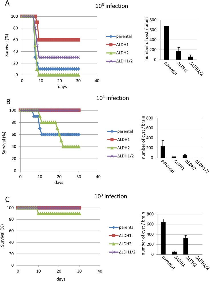 Fig 4