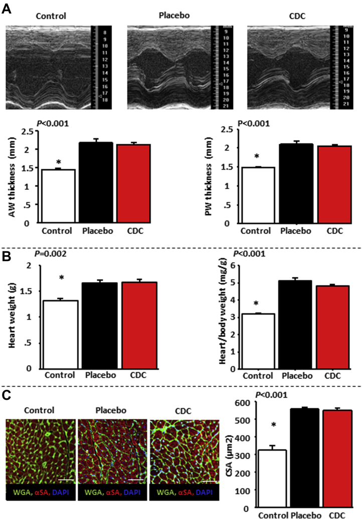 Figure 4