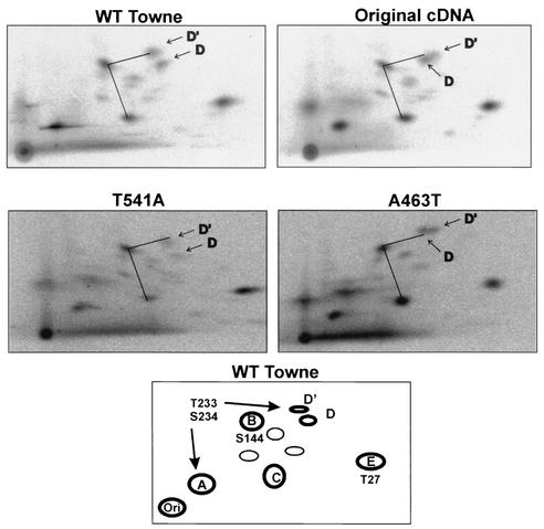 FIG. 8.