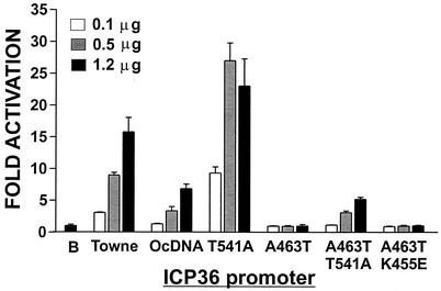 FIG. 7.