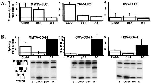 FIG. 2.