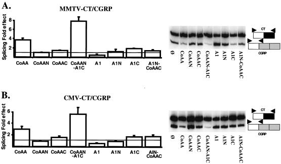 FIG. 6.