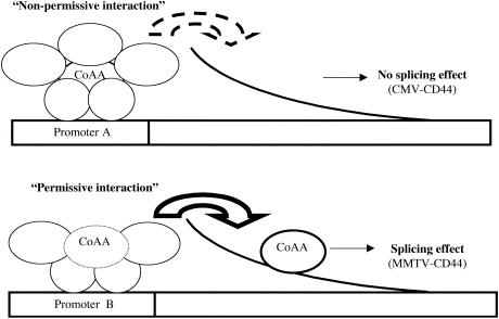 FIG. 7.