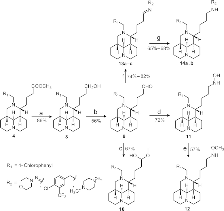 Scheme 2