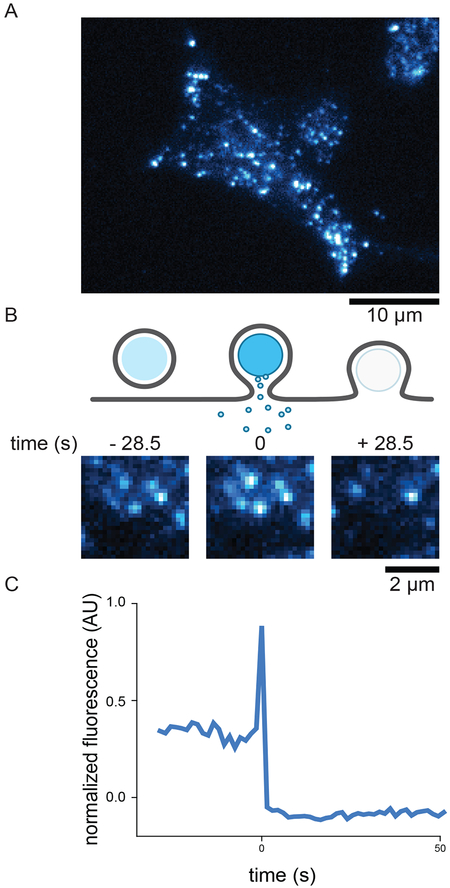 Figure 2: