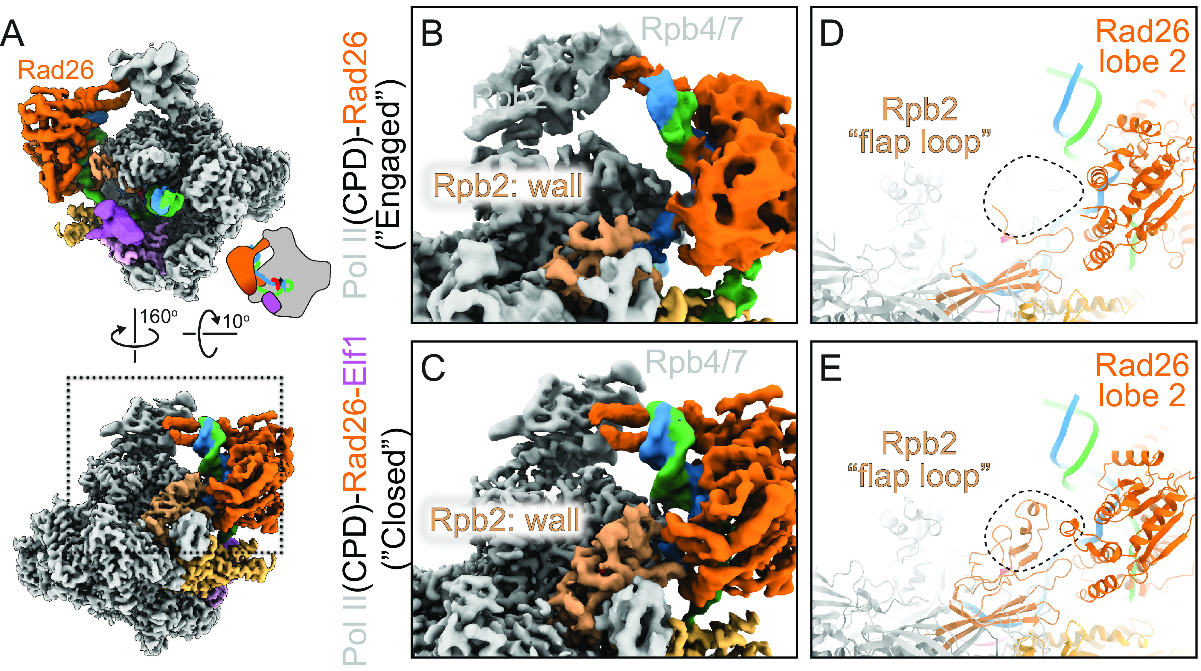 Fig. 4.