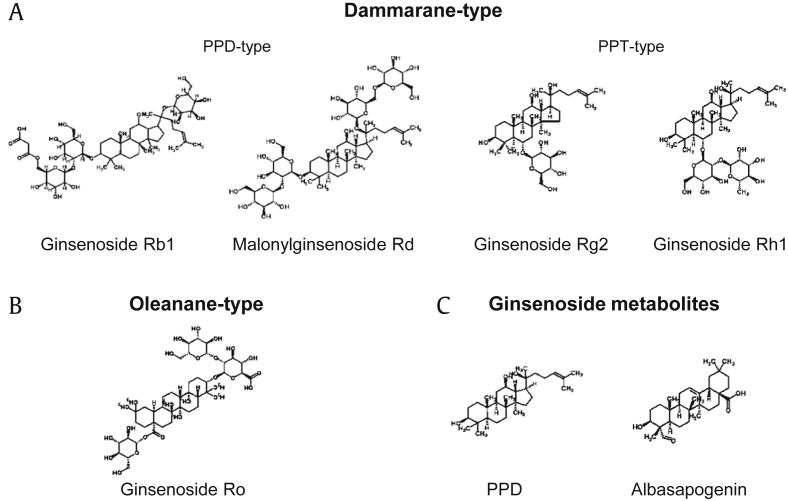 Fig. 2