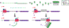 Figure 3 |