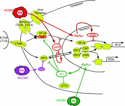 FIG. 1.