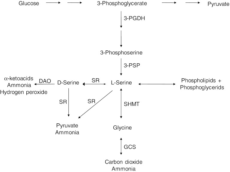 Fig. 1