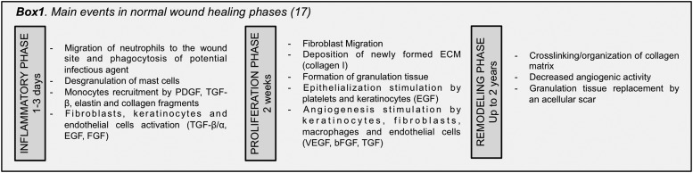 graphic file with name fig-5.jpg