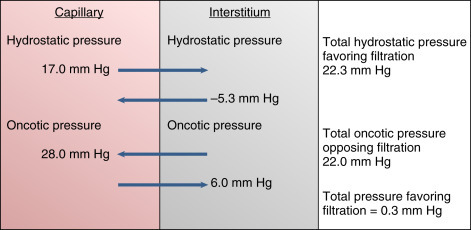 Fig. 7.4