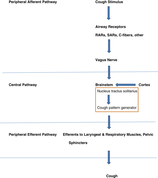 Fig. 7.2