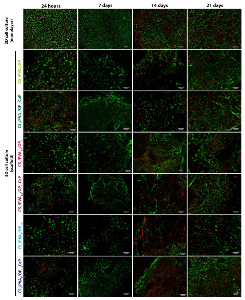 Figure 13