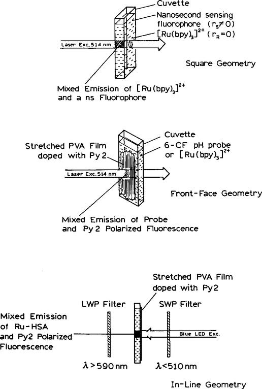 SCHEME 1.