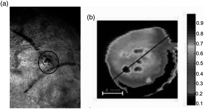 Fig. 8