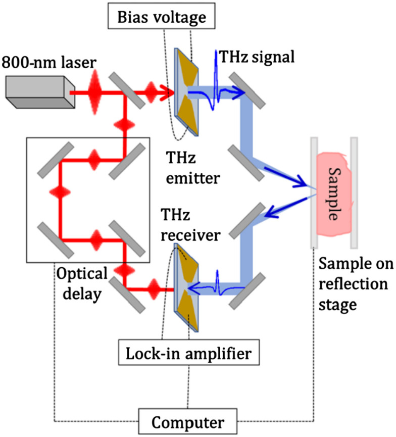 Fig. 1