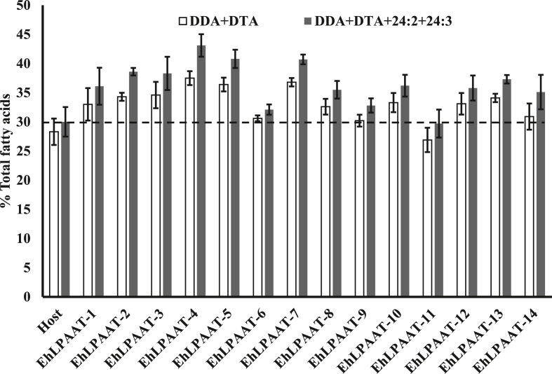 Fig. 5b