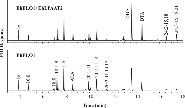 Fig. 5a