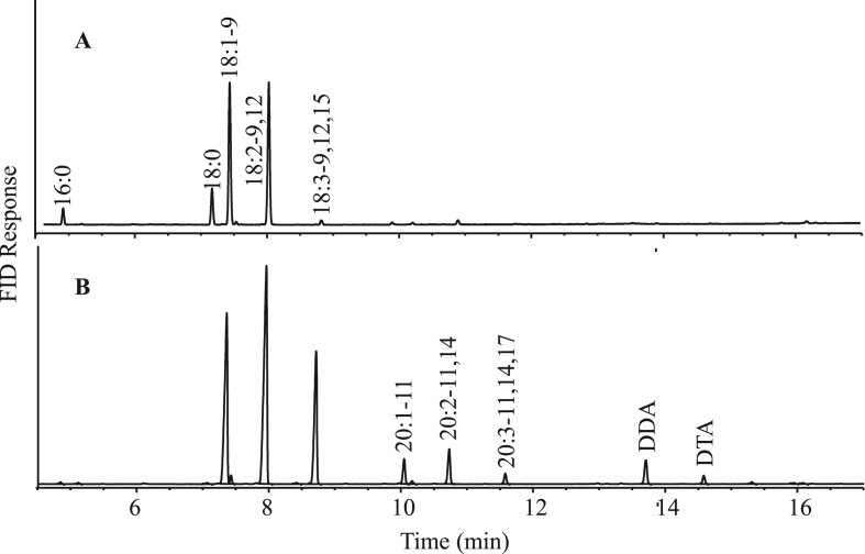 Fig. 6