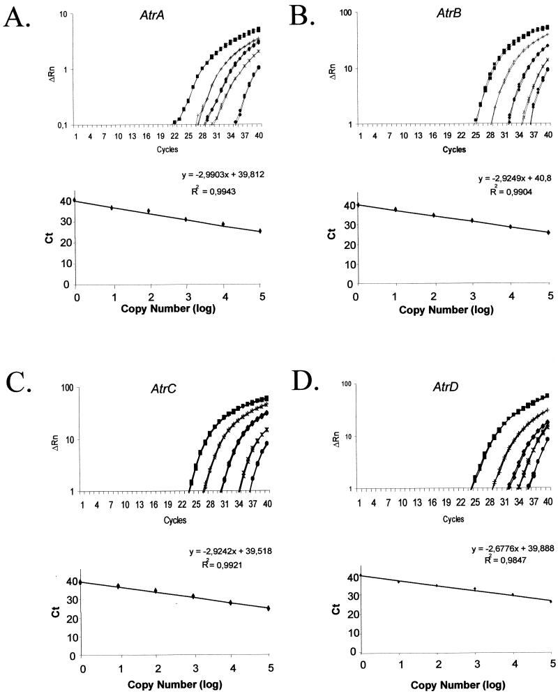 FIG. 1.