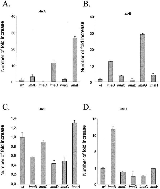 FIG. 2.