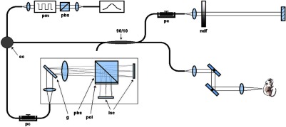 Fig. 1