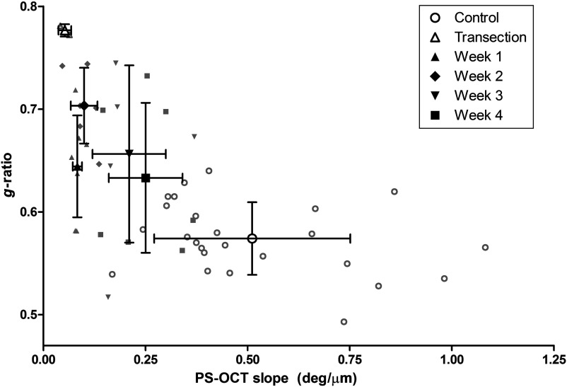 Fig. 11