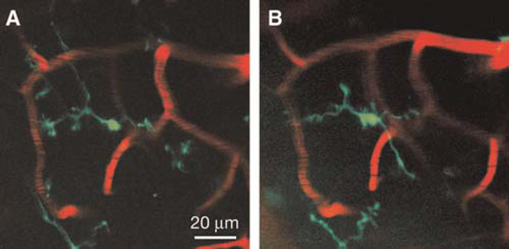 FIGURE 3