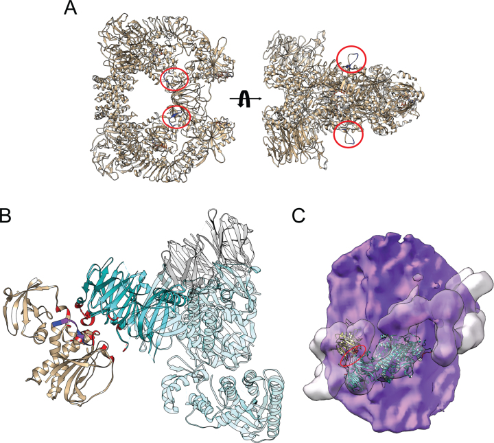 Fig. 2