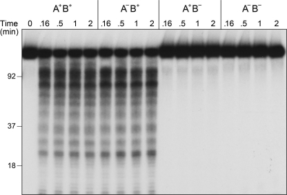 FIGURE 11.