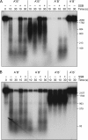 FIGURE 12.
