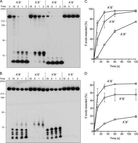 FIGURE 10.