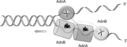 FIGURE 1.