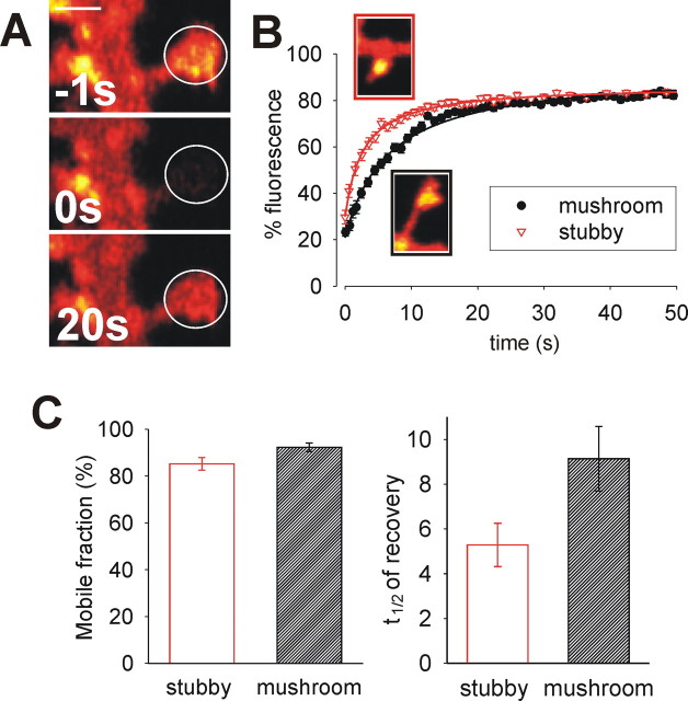 Figure 5.