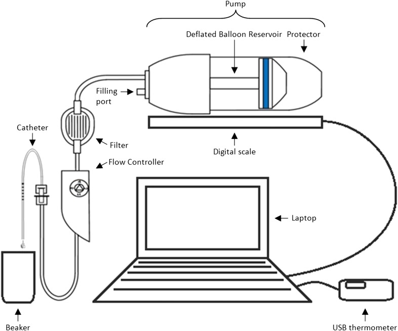 Box 1 Figure 1.