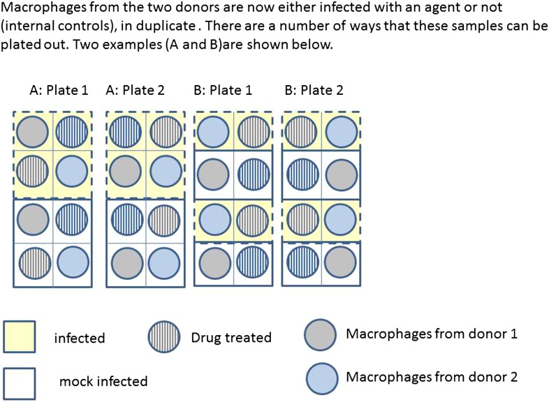 Box 2 Figure 2.