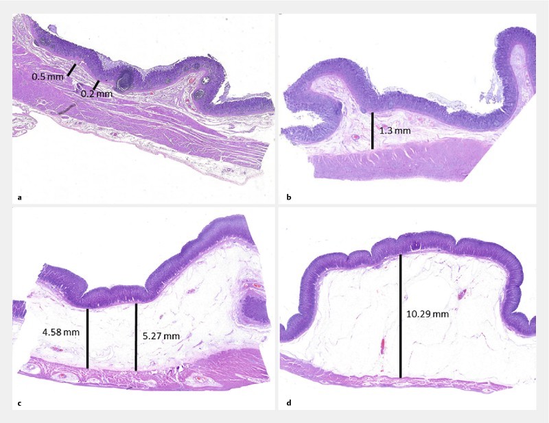 Fig. 4