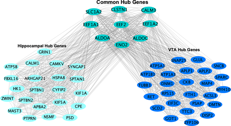 Figure 5: