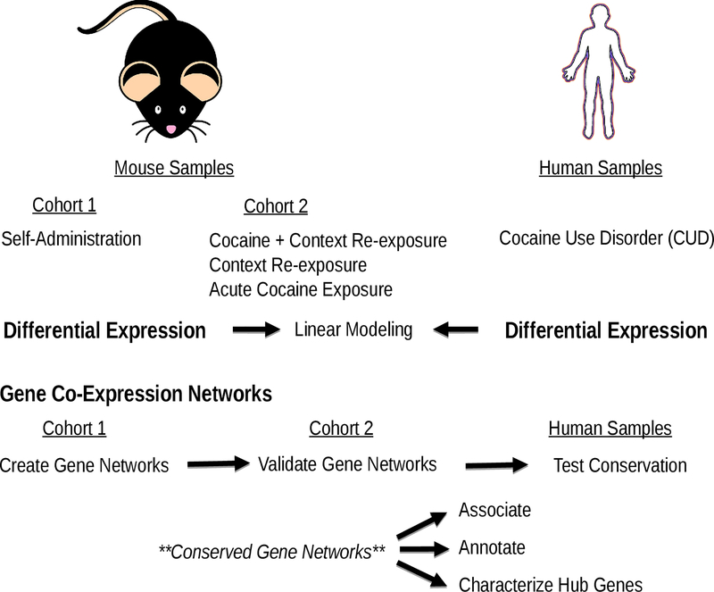 Figure 1: